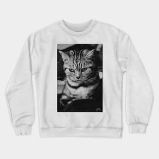 Heera Crewneck Sweatshirt